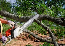 Best Seasonal Cleanup (Spring/Fall)  in Lake Of The Pines, CA