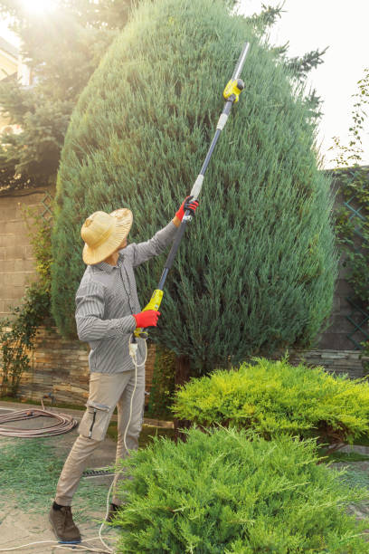 Best Emergency Tree Removal  in Lake Of The Pines, CA